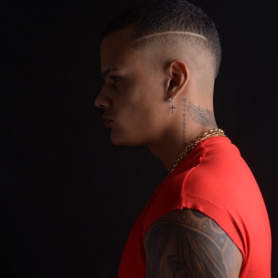 Preliminar - Single