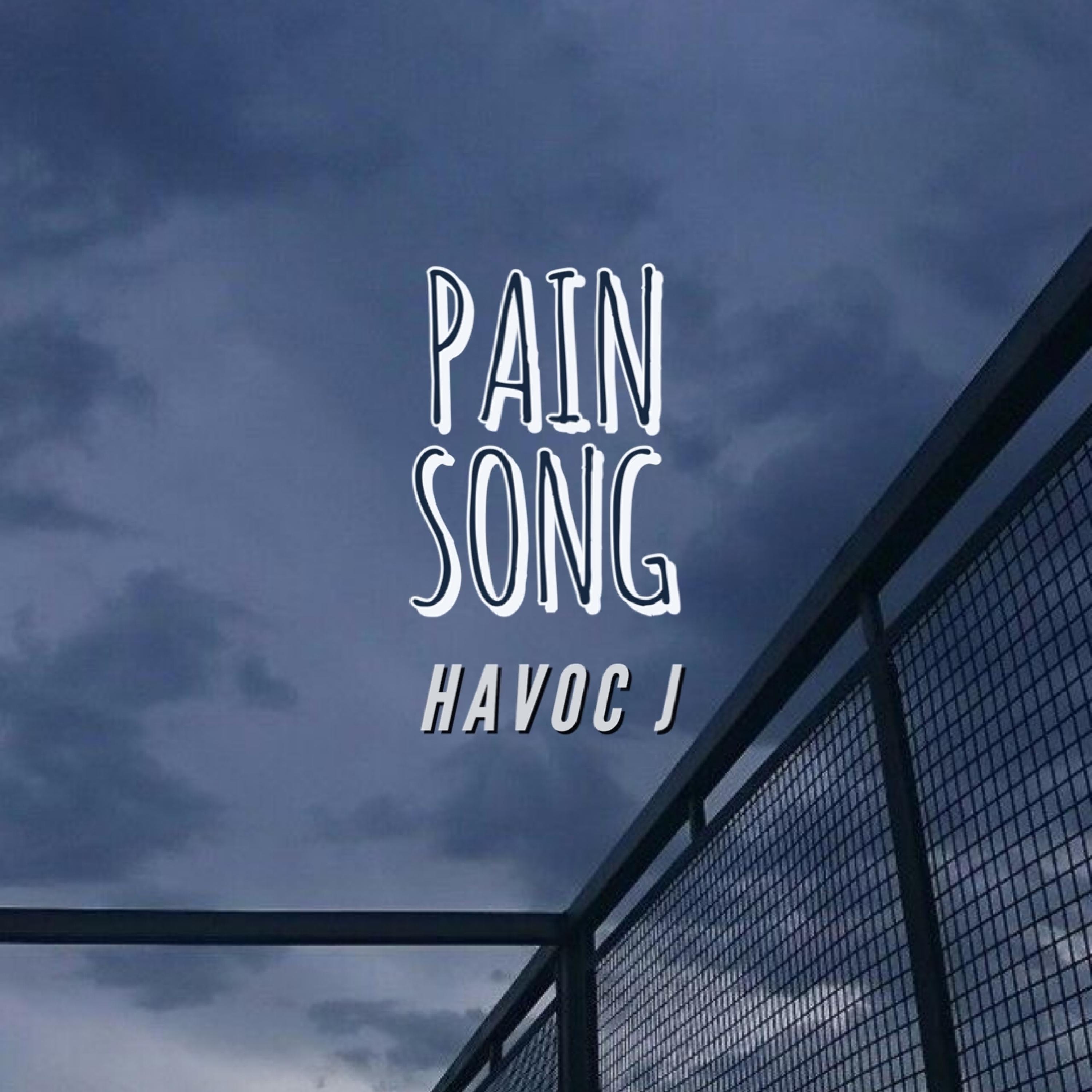 Pain Song - Single by Havoc J album cover