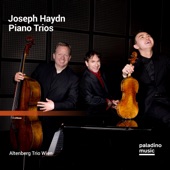 Joseph Haydn: Piano Trios artwork