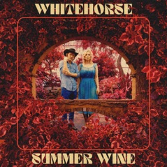 Summer Wine - Single