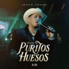 En Los Puritos Huesos (En Vivo) - Single