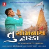 Tu Somnath Tu Dwarka - Single