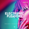 Artus Artus Electronic Pleasure, Vol. 2 (Organic Downtempo Vibes)