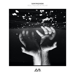 Roll / Feeling in the Air - Single