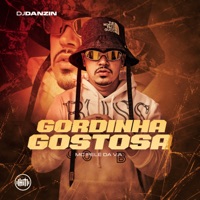 Gordinha Gostosa (feat. Mc Pelé Da V.A) - Single - DJ Danzin