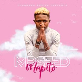 Mapito Mr Seed