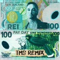 Pay Day (TMS Remix) - Single - Rei