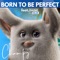 Born to Be Perfect (feat. Zaine Blue) - Champy lyrics