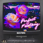 Perfect Fantasy - Single