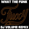 What the Funk (DJ Volume Remix) - Single