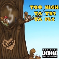 Too High Ta Try Ta Fly - Saintsworld57