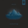 Enduring - Single