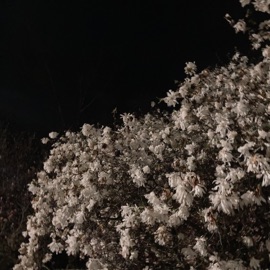 Be Us / She Da One emotionals3k