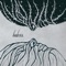 Aves - hubris. lyrics