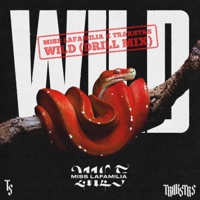 Wild (Trakstrs Remix) - Single - Miss Lafamilia