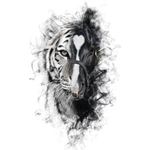 Para Sacarte De Mi Vida (feat. Los Tigres del Norte)