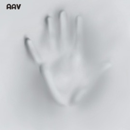 IDLE BEHAVIOR (feat. nickels!) AAV