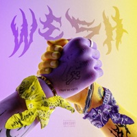 Wesh (feat. CocoNight) - Single - Malacarne & Solito G