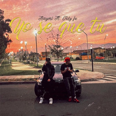 Yo sé que tú (feat. Toly Fu) - Single