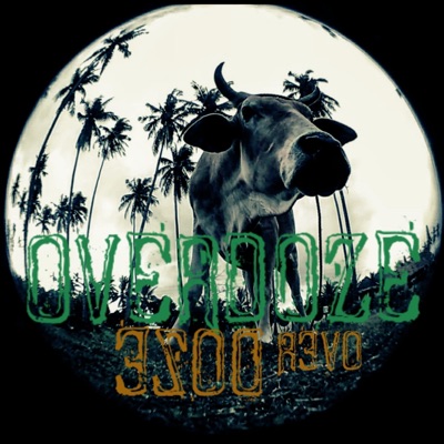 OVERDOSE (feat. DON LEON, BORABS, ROCKY. & RADZ G) - Single