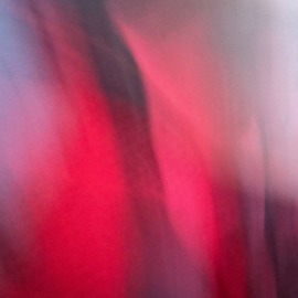 Cocomelon Freestyle Kellz Stackz