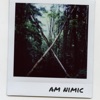 Am Nimic - Single