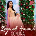 Sonuna