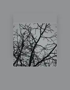 Dengarkan Davion Freeman, tonton video musik, baca bio, lihat tanggal tur & lainnya!