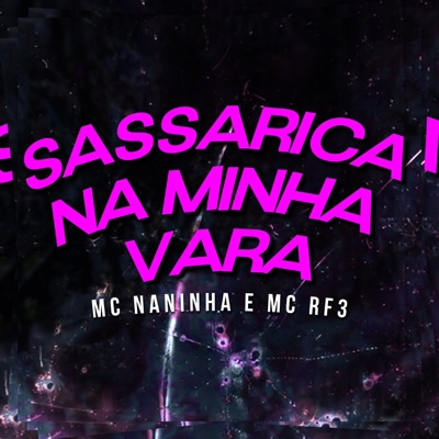 Sassarica na Minha Vara (feat. Love Funk, MC RF3 & Funk Malokeiro) - Single