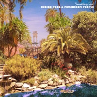 Something Real - Single - Indigo Pool & Mushroom People