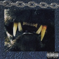 F**k Around and Find Out - Single - $un$hine