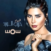 Haza Al Kalam song art