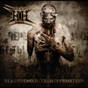 Holy Hell - In Power