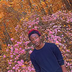 Yvng MCを聴いたり、ミュージックビデオを鑑賞したり、経歴やツアー日程などを確認したりしましょう！