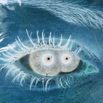 polmoni schiacciati - Single