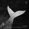 Technology (Cedric Flux Remix) - Pandorum, Olven & Katya Rode lyrics
