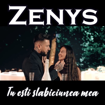 Song - Tu esti slabiciunea mea - Zenys
