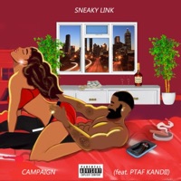 Sneaky Link (feat. PTAF Kandii) - Single - Campaign Music