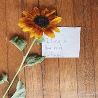 Flowers - Single - Bark Point.