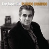 Richard Navarro El Trust de los Tenorios: Te Quiero Morena - Jota The Essential Plácido Domingo