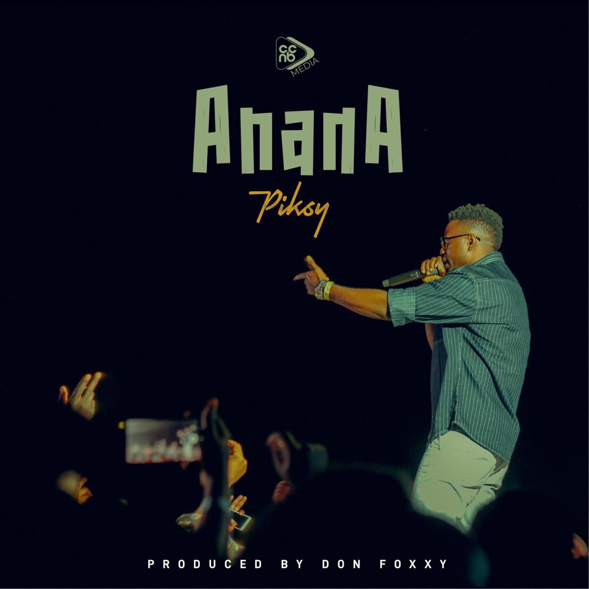 Anana Single By Piksymw On Apple Music