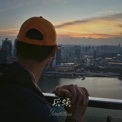 Irritation (feat. ZipHeX) - Single