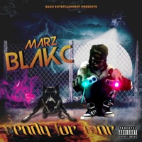 Mood Swing - Single - Marz Blakc
