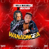 Wanaongea (feat. Dulla Makabila) - Single - Ngajupa