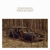 Stick Season - Noah Kahan Cover Art