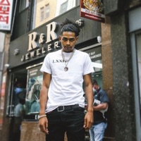 Steppa - Single - Flashy hundo