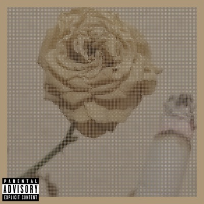 Não Quero Estragar Nossa Amizade - Single