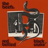 Red Bellied Black Snake artwork