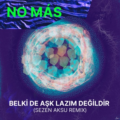 Belki De Aşk Lazım Değildir - Remix (Sezen Aksu) - Single