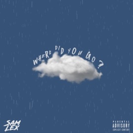 Where did You Go? SAM LEX